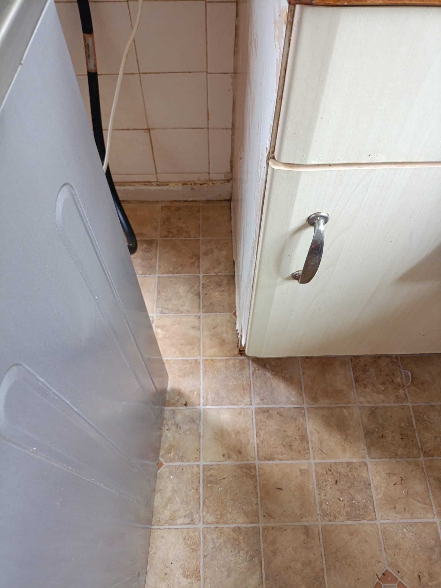 Kitchen cleaning services